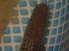 DSC07977.jpg
