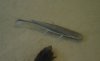 DSC07982.jpg