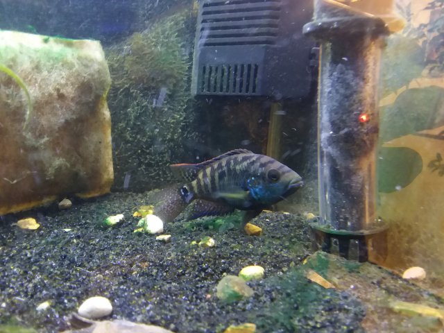 20190315_181616.jpg 20190315_181616.jpg