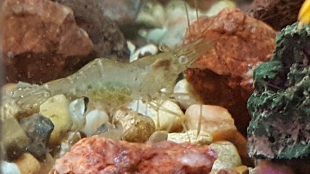 20190318_090549.jpg