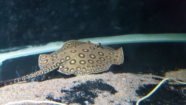 20190318_195803.jpg