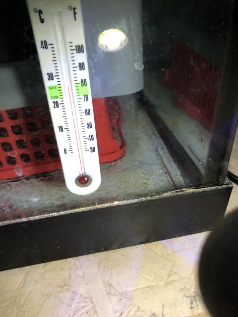 1366475