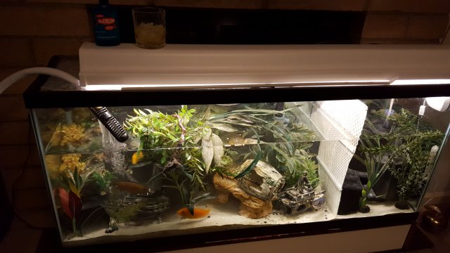 20190328_080155.jpg