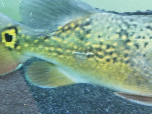 20190328_141416.jpg 20190328_141416.jpg