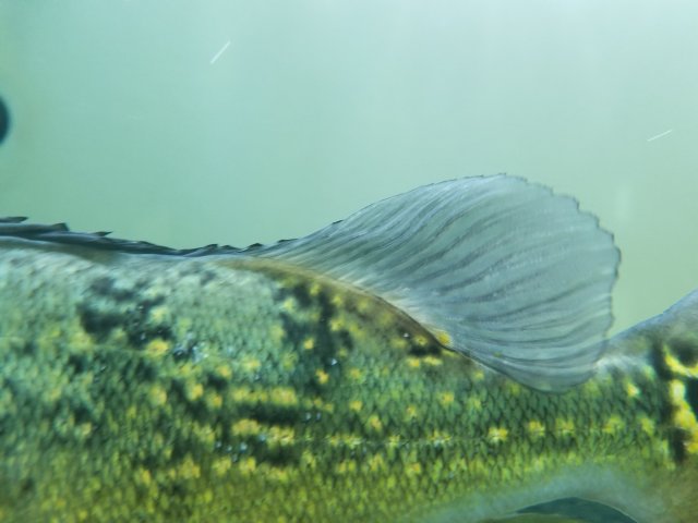 20190328_141345.jpg 20190328_141345.jpg