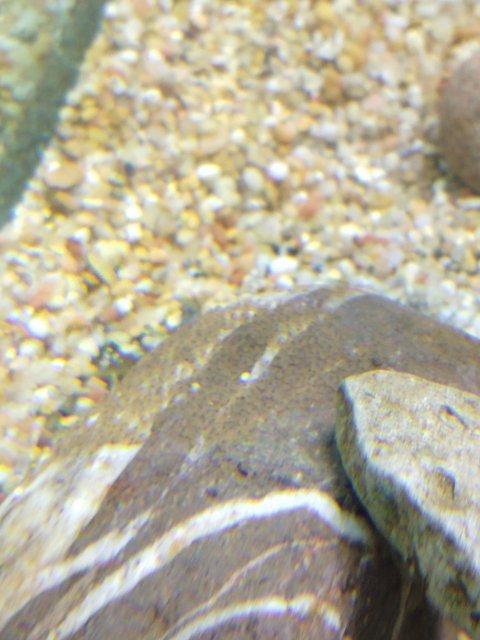 IMG_20190329_211901657.jpg