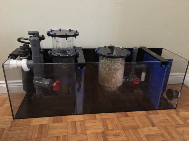 2931B124-A3F8-48CB-B768-EE1A284633D9.jpeg 2931B124-A3F8-48CB-B768-EE1A284633D9.jpeg