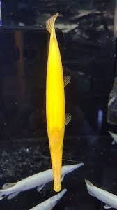 1366882