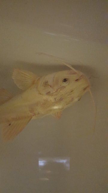 20170326_164651.jpg