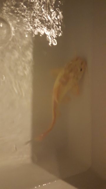 20170326_154400.jpg