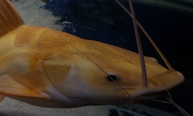 20190330_143550.jpg