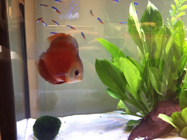 92E83B54-0904-4CC9-8D6F-F9965FCA666D.jpeg 92E83B54-0904-4CC9-8D6F-F9965FCA666D.jpeg