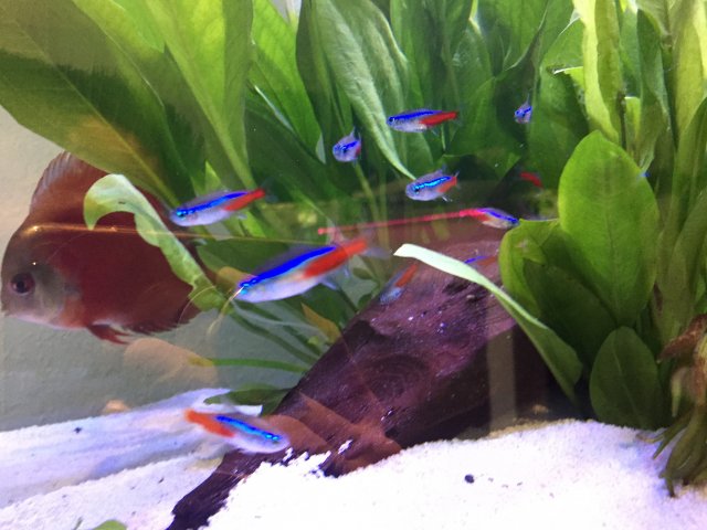 57351827-489C-47EF-A683-AB02DFC788A9.jpeg 57351827-489C-47EF-A683-AB02DFC788A9.jpeg