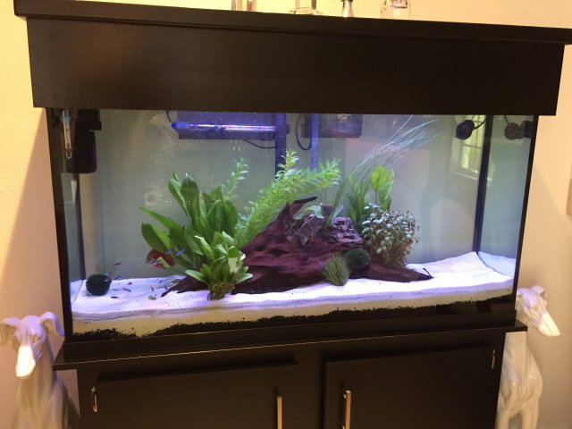 3EEAF5D0-D7D0-42B8-B97F-42C95364AD09.jpeg 3EEAF5D0-D7D0-42B8-B97F-42C95364AD09.jpeg