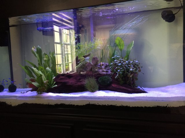 B983C131-B15E-4F98-8ACD-2E940D77EE4C.jpeg B983C131-B15E-4F98-8ACD-2E940D77EE4C.jpeg