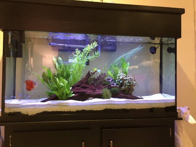 2FBFA047-9E74-4169-ABD5-297F37F54795.jpeg 2FBFA047-9E74-4169-ABD5-297F37F54795.jpeg