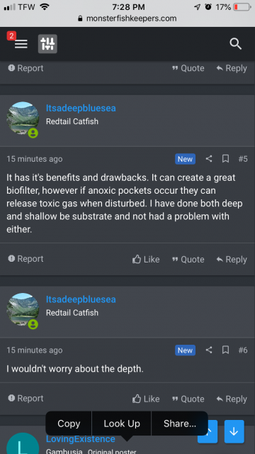 DACB5724-8976-4785-AF40-ED1677102802.png