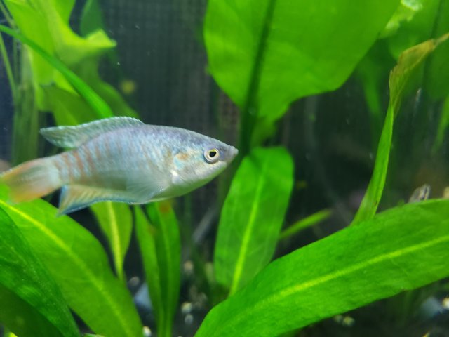 20190323_160216.jpg