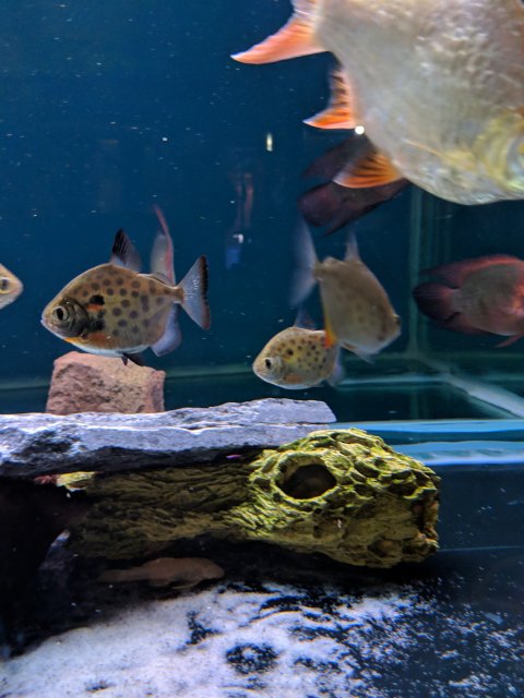 MVIMG_20190404_212942.jpg