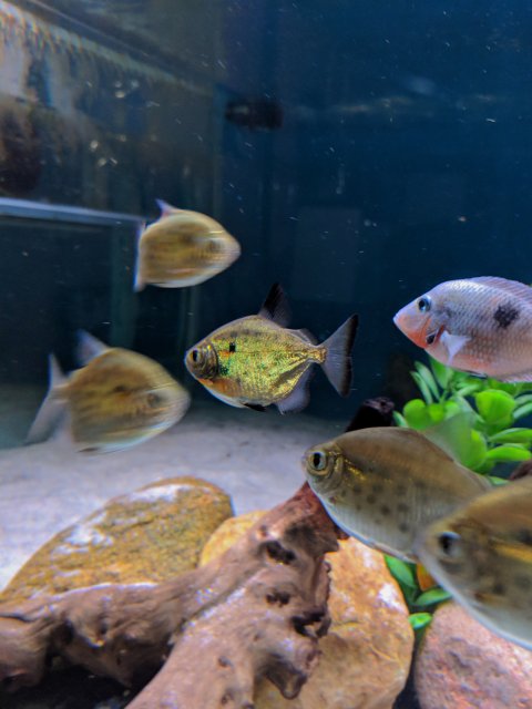 MVIMG_20190404_212818.jpg