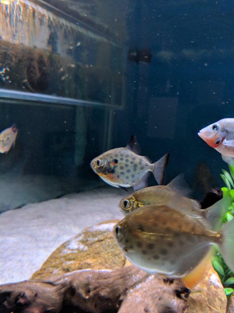MVIMG_20190404_212819.jpg