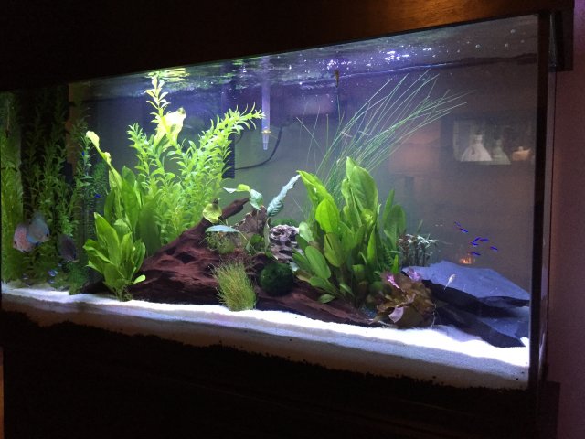 EF95966B-D3C3-4598-85B6-BC12A0073CA0.jpeg EF95966B-D3C3-4598-85B6-BC12A0073CA0.jpeg