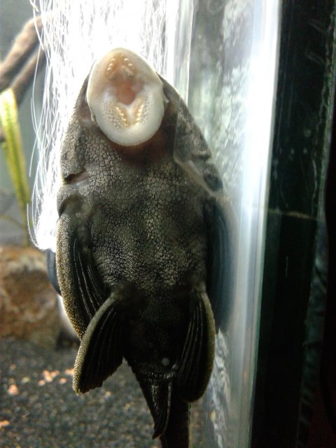 20190405_120338.jpg 20190405_120338.jpg