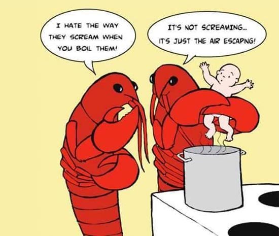 lobster-boil.jpg
