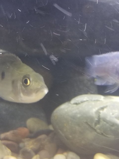 20190405_223013.jpg 20190405_223013.jpg