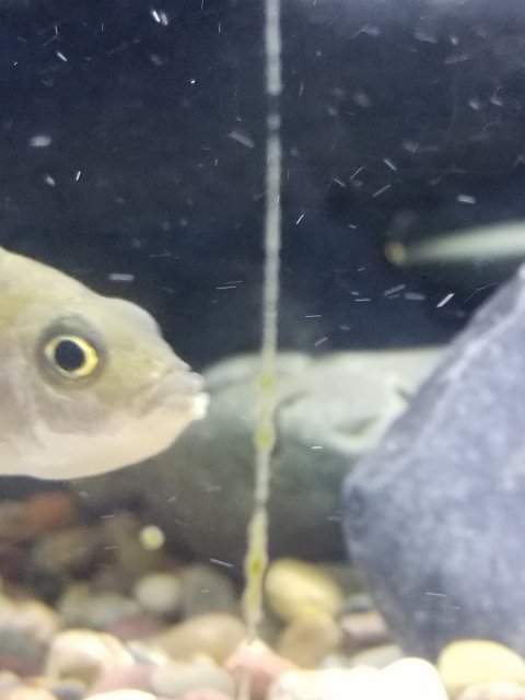 20190405_222541.jpg 20190405_222541.jpg