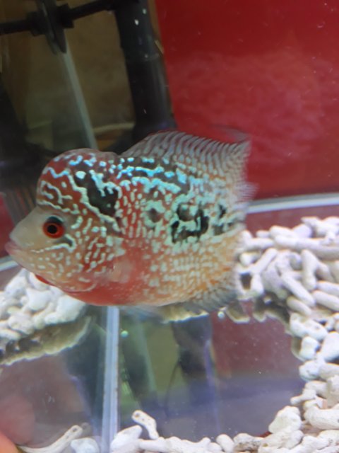 20190406_165206.jpg