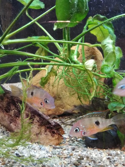 IMG_20190323_222809590.jpg IMG_20190323_222809590.jpg