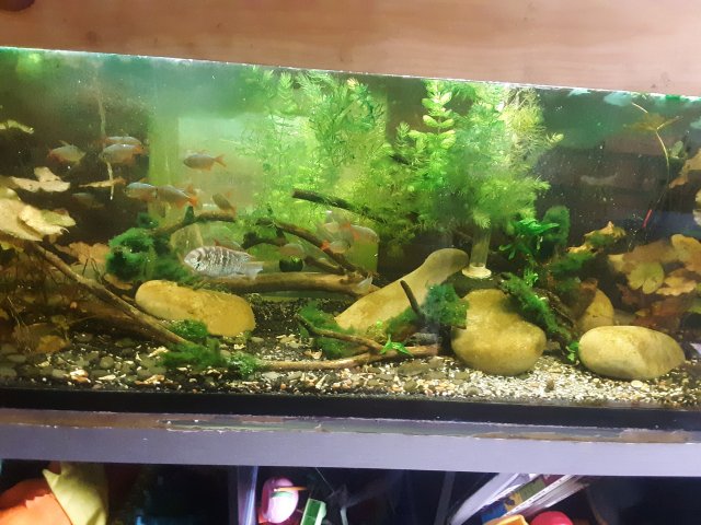 20190407_095305.jpg
