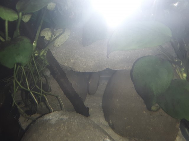 20190407_100001.jpg
