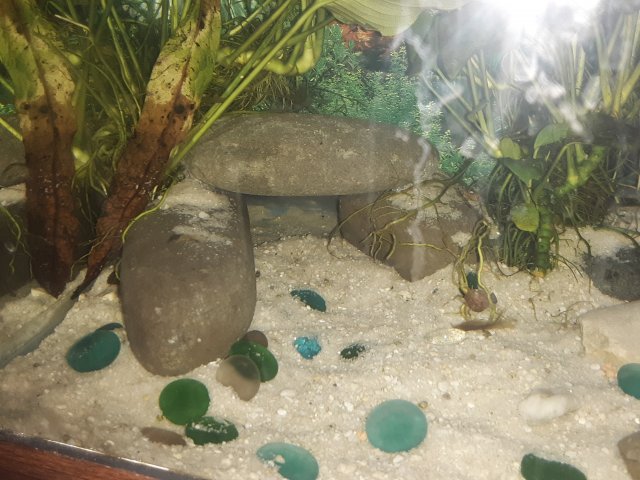20190407_100008.jpg