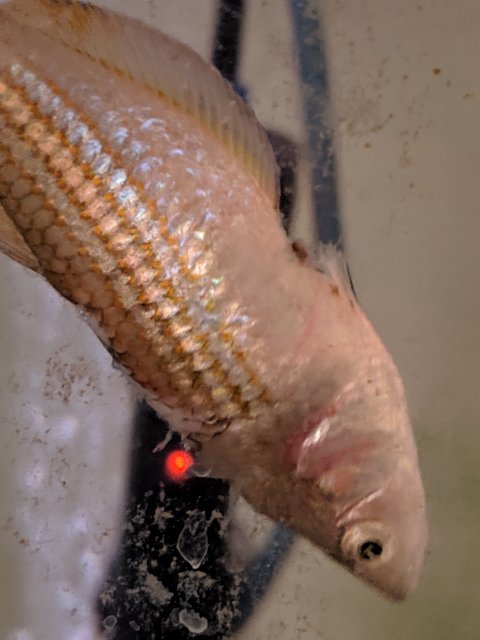 MVIMG_20190407_143026.jpg