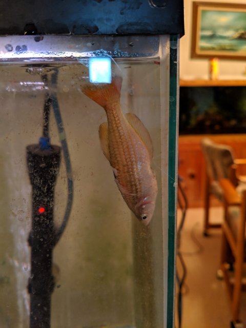 MVIMG_20190407_143014.jpg