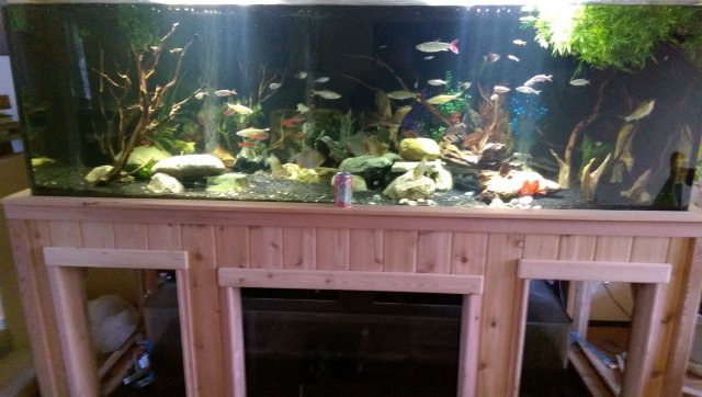 FTS.jpg