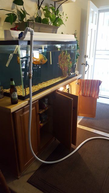 20190406_105151.jpg