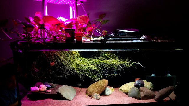 20181216_100047.jpg