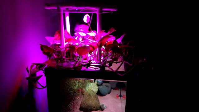 20181216_100119.jpg