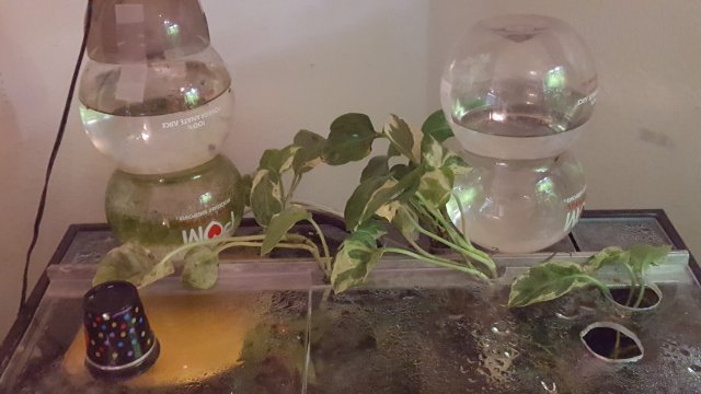 20190410_092335.jpg