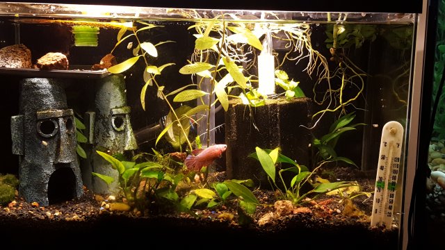 20190410_092214.jpg