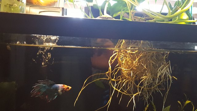 20190410_092122.jpg