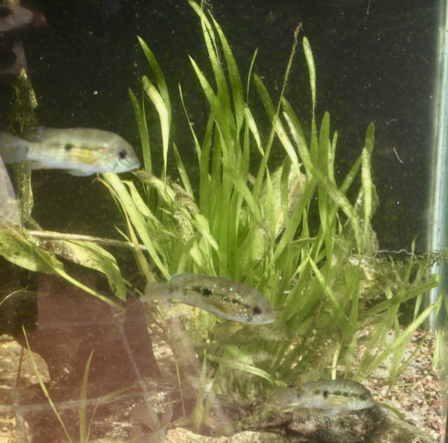 fullsizeoutput_125b.jpeg fullsizeoutput_125b.jpeg