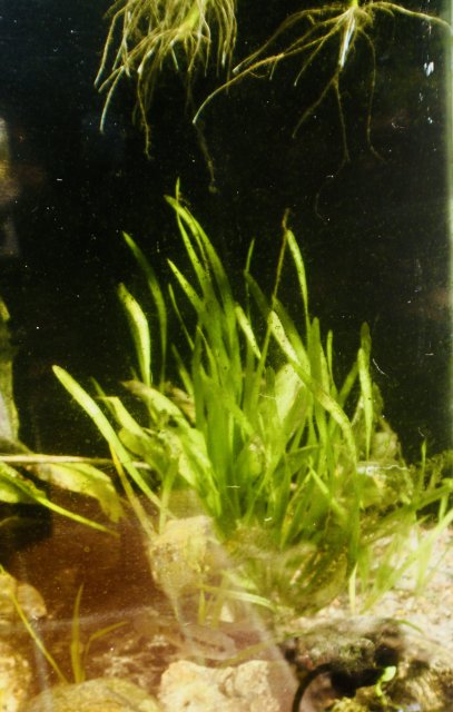 fullsizeoutput_125a.jpeg fullsizeoutput_125a.jpeg