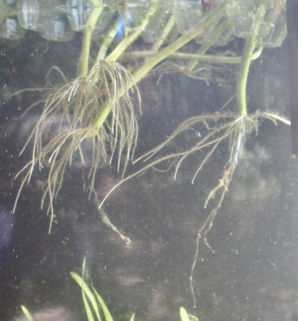 fullsizeoutput_1265.jpeg fullsizeoutput_1265.jpeg