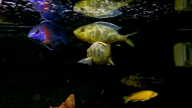 20190409_210010.jpg 20190409_210010.jpg