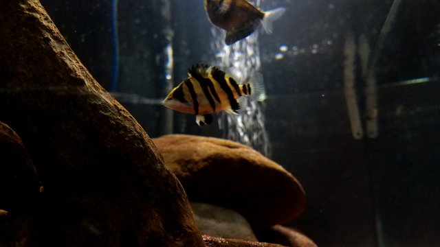 20190411_200149.jpg