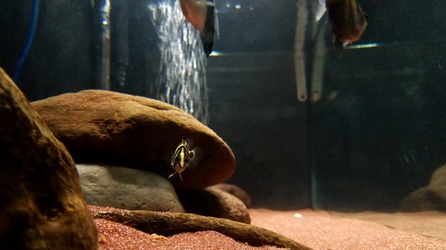 20190411_200133.jpg